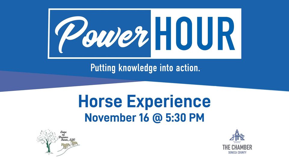 Power Hour:  Horse Experience