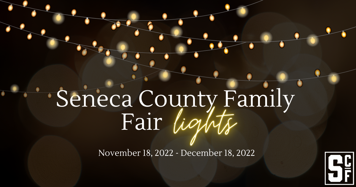 Seneca County Family Fair Lights
