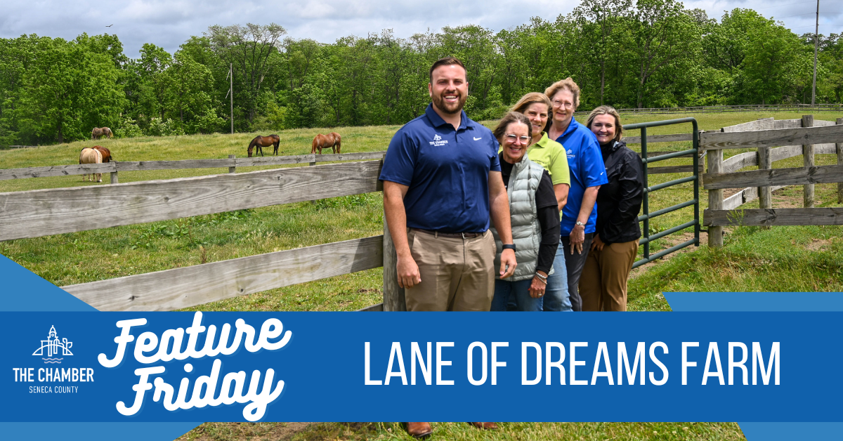 Feature Friday: Lane of Dreams Farm