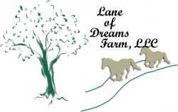 New Business Benefit from Lane of Dreams Farm