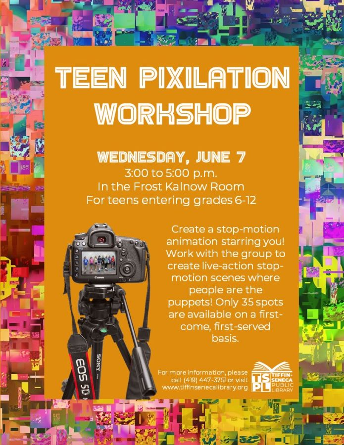 Teen Pixilation Workshop