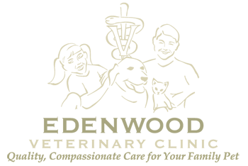 Edenwood Vet Clinic