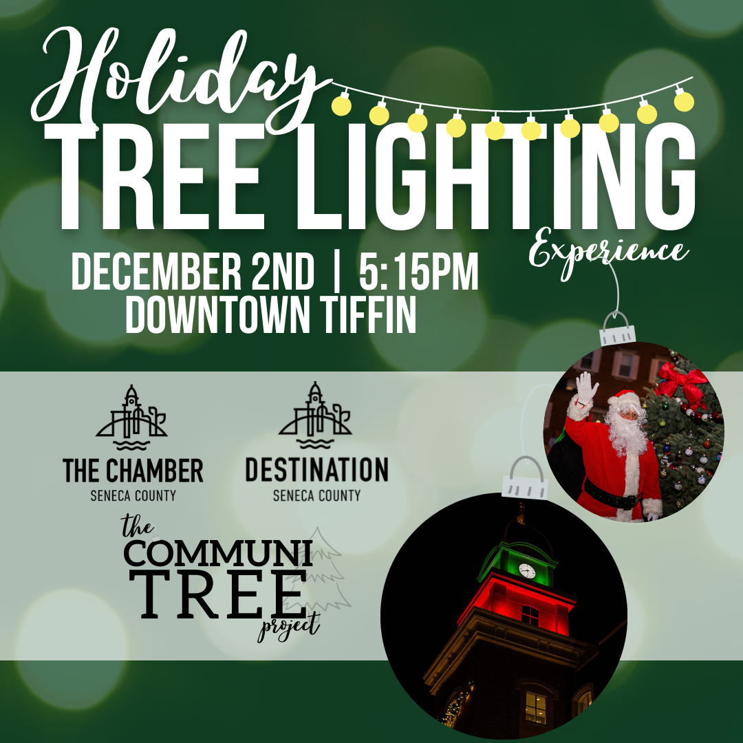 Holiday Tree Lighting Experience