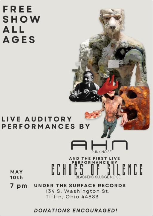 Experimental / Noise Show with Ahn and Echoes Of Silence